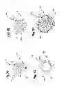 Fig. 07 - Sensitive and rapid determination of antimicrobial susceptibility