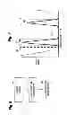 Fig. 08 - Sensitive and rapid determination of antimicrobial susceptibility