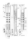 Fig. 33 - Sensitive and rapid determination of antimicrobial susceptibility