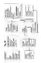 Fig. 44 - Sensitive and rapid determination of antimicrobial susceptibility
