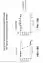 Fig. 49 - Methods of detection, diagnosis, and monitoring using anti-DLL3 antibodies