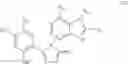 Fig. 55 - COMPOUNDS THAT MODULATE HSP90 ACTIVITY AND METHODS FOR IDENTIFYING SAME