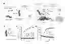 Fig. 01 - Affinity-based detection of ligand-encoded synthetic biomarkers