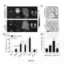 Fig. 04 - Affinity-based detection of ligand-encoded synthetic biomarkers