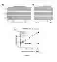 Fig. 06 - Affinity-based detection of ligand-encoded synthetic biomarkers