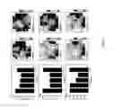 Fig. 03 - INDUCED PLURIPOTENT STEM CELL (IPSC)-DERIVED CARDIOMYOCYTE-LIKE CELLS AND USES THEREOF