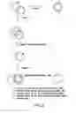 Fig. 03 - Methods to mutate circular deoxyribonucleotides