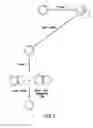 Fig. 04 - Methods to mutate circular deoxyribonucleotides