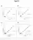 Fig. 03 - PROCESS FOR OBTAINING COPPER NANOPARTICLES FROM RHODOTORULA MUCILAGINOSA AND USE OF RHODOTORULA MUCILAGINOSA IN BIOREMEDIATION OF WASTEWATER AND PRODUCTION OF COPPER NANOPARTICLES