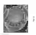 Fig. 02 - MATERIALS AND METHODS FOR PRODUCING CELL-SURFACE DIRECTED AND ASSOCIATED NON-NATURALLY OCCURRING BIOINORGANIC MEMBRANCES AND USES THEREOF