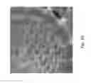 Fig. 03 - MATERIALS AND METHODS FOR PRODUCING CELL-SURFACE DIRECTED AND ASSOCIATED NON-NATURALLY OCCURRING BIOINORGANIC MEMBRANCES AND USES THEREOF