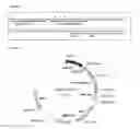 Fig. 05 - PROCESS