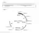 Fig. 06 - PROCESS