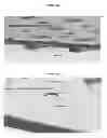 Fig. 03 - Device for cell culture and direct imaging