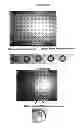Fig. 05 - Device for cell culture and direct imaging