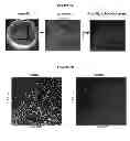 Fig. 09 - Device for cell culture and direct imaging