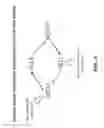 Fig. 10 - Nucleic acid encoding DLL3 antibodies