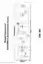 Fig. 17 - Nucleic acid encoding DLL3 antibodies