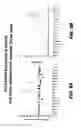 Fig. 19 - Nucleic acid encoding DLL3 antibodies