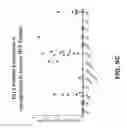 Fig. 20 - Nucleic acid encoding DLL3 antibodies