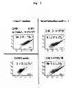 Fig. 02 - Method for inducing differentiation of human pluripotent stem cells into intermediate mesoderm cells