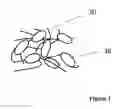 Fig. 03 - THREE-DIMENSIONAL STRUCTURES FOR CELL OR TISSUE CULTURE
