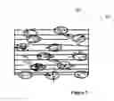 Fig. 06 - THREE-DIMENSIONAL STRUCTURES FOR CELL OR TISSUE CULTURE