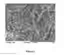 Fig. 07 - THREE-DIMENSIONAL STRUCTURES FOR CELL OR TISSUE CULTURE