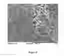 Fig. 09 - THREE-DIMENSIONAL STRUCTURES FOR CELL OR TISSUE CULTURE