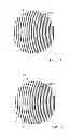 Fig. 05 - Device for use in the detection of binding affinities