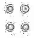 Fig. 06 - Device for use in the detection of binding affinities