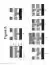 Fig. 07 - Materials and methods of forming controlled void