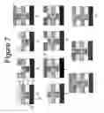 Fig. 08 - Materials and methods of forming controlled void