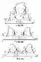Fig. 04 - PUMPING/NURSING BRA