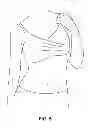 Fig. 06 - PUMPING/NURSING BRA