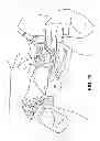 Fig. 13 - PUMPING/NURSING BRA