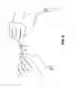 Fig. 10 - Pumping/nursing bra