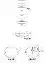 Fig. 02 - Method of manufacturing an optical lens