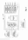 Fig. 07 - Message forwarding and retrieval with a single messaging service
