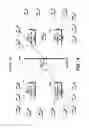 Fig. 05 - Master TSM