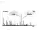 Fig. 02 - Absolute quantitation of proteins and protein modifications by mass spectrometry with multiplexed internal standards