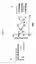 Fig. 03 - Combination therapy with peptide epoxyketones