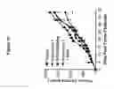 Fig. 11 - Combination therapy with peptide epoxyketones
