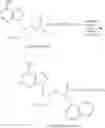 Fig. 64 - Acyclic nucleoside phosphonate diesters