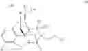 Fig. 09 - Quarternized buprenorphine analogs