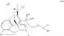Fig. 12 - Quarternized buprenorphine analogs