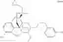 Fig. 54 - Quarternized buprenorphine analogs