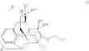 Fig. 61 - Quarternized buprenorphine analogs