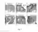 Fig. 08 - METHOD OF TREATING DERMATOLOGICAL DISORDERS