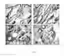 Fig. 09 - METHOD OF TREATING DERMATOLOGICAL DISORDERS